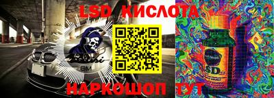 PSILOCYBIN Кулебаки