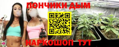 PSILOCYBIN Кулебаки
