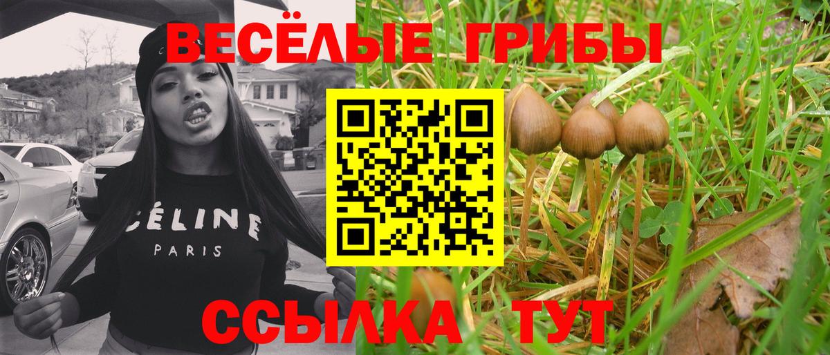 Галлюциногенные грибы Psilocybe  Вход с VPN  Касимов 